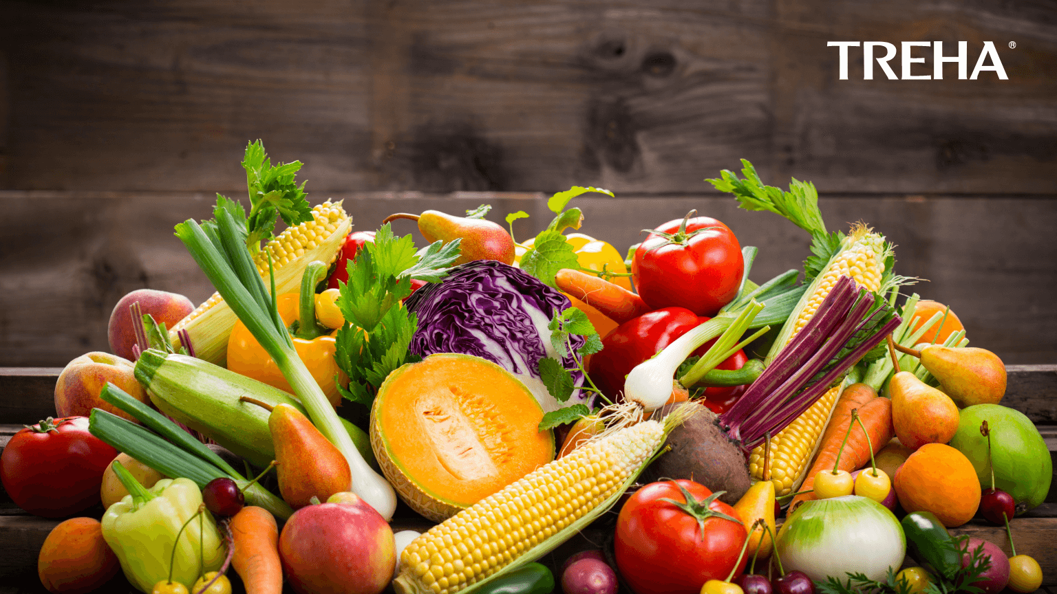 Health benefits of trehalose explored in the international scientific