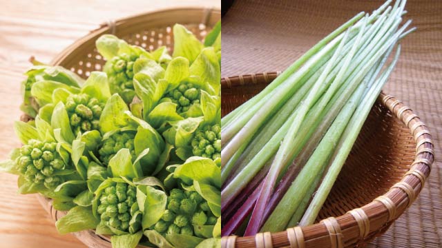 Butterbur buds (left) and butterbur stalks (right)