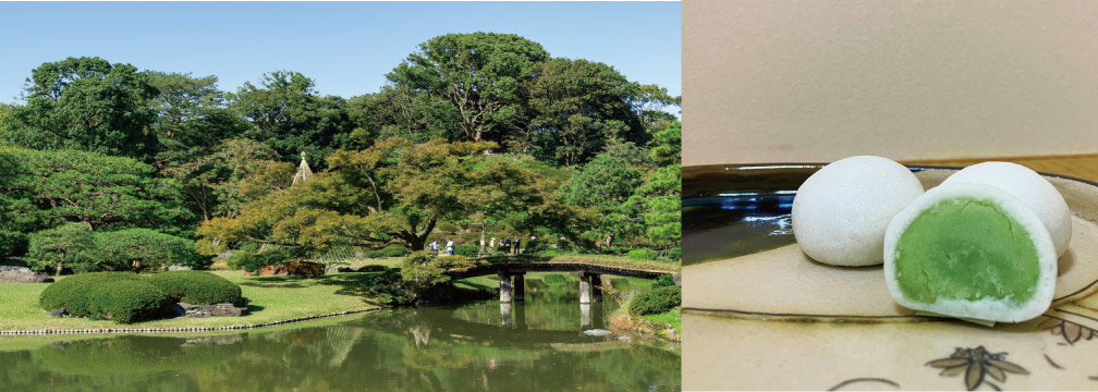 Tokiwa(常盤)encapsulates the essence of evergreen trees, remaining green and unchanged even through winter.