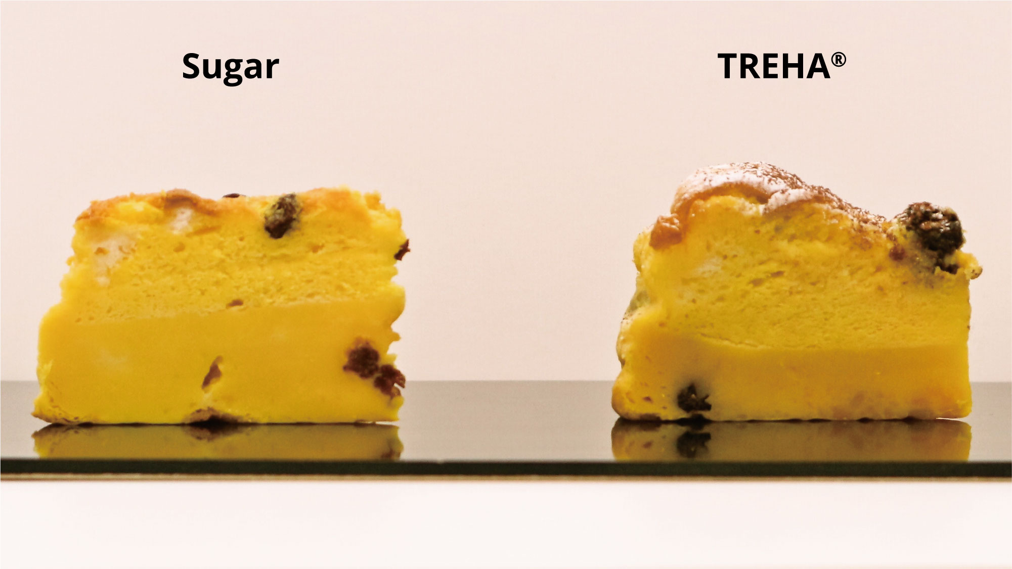 Left:  Cake containing sugar only, Right: Cake containing sugar and TREHA. 
