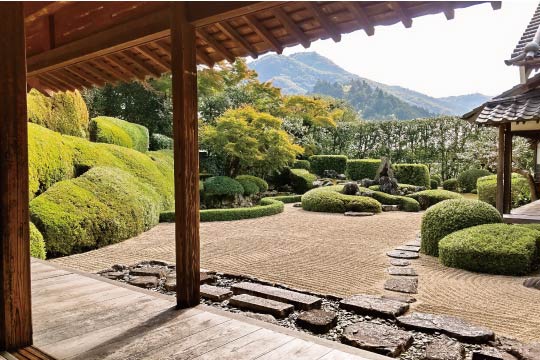 Beautiful view of the garden from the hall