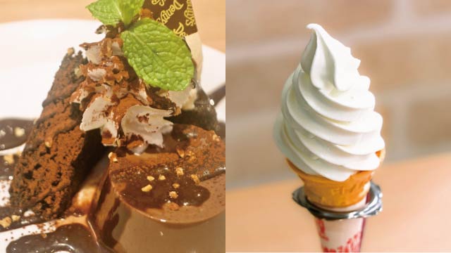 Instead of a pinch of salt, try using Miso for sweet desserts. You will be pleasantly surprised.