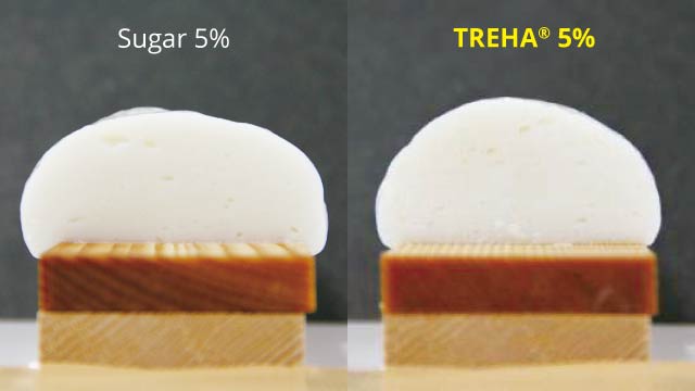 The TREHA sample withstood the heating process retaining the original shape.