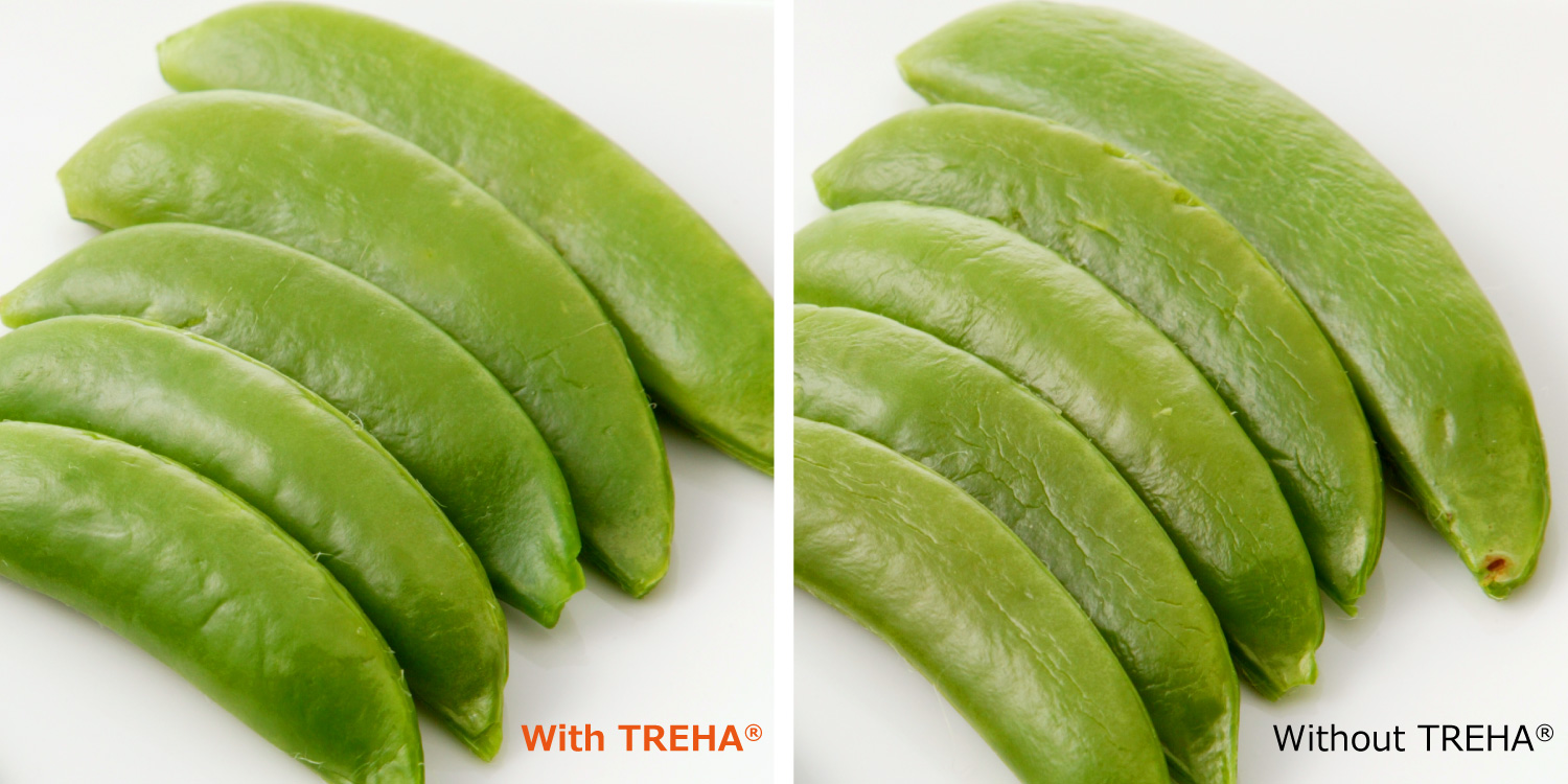 Snap peas boiled with TREHA on the left and without TREHA on the right. TREHA keeps the bright color of the peas and reduces wrinkling. 
