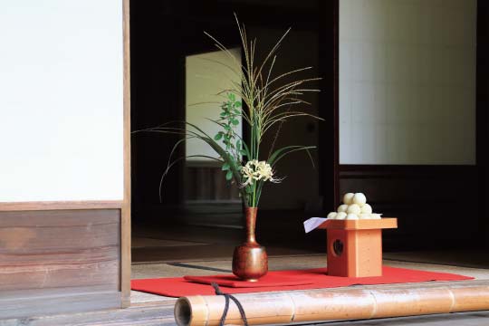 Silver grass and dumplings (tsukimi dango) will be offered under the moonlight.