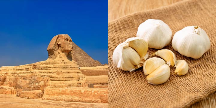 Garlic was considered a spirit guardian in ancient Egypt.