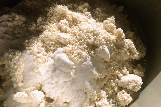 Drum rolls - the grand champion is Aspergillus oryzae!