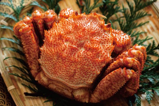 Sweet and rich crab tomalley is the best part of the hairy crab.