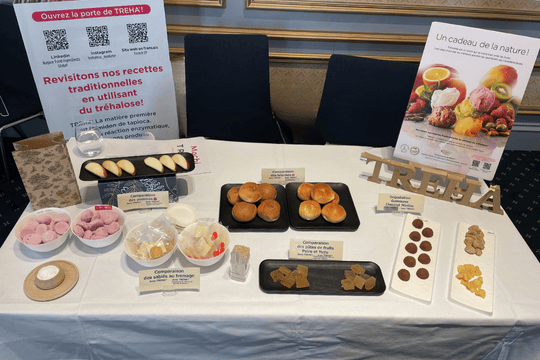 The atmosphere at the TREHA booth within the SHOW ROOM.