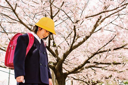 A first grader and cherry blossoms