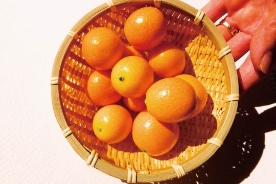 Kumquat (金柑) is a unique fruit of which edible part could be only skin.