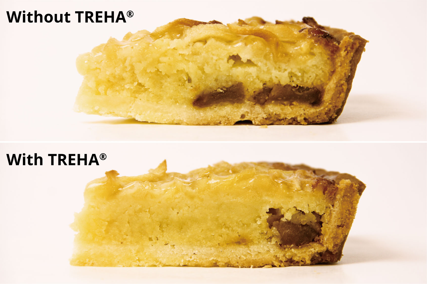 Cross section of the tart. The piece of tart with TREHA shows a finer cross section because TREHA retains moisture in the apple preserves during baking. 
