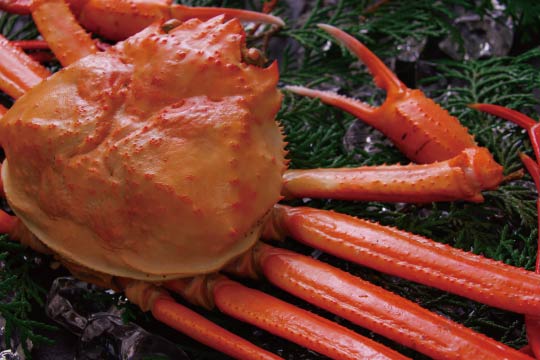 Sweet and rich crab tomalley is the best part of the hairy crab.