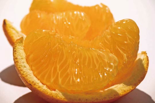 Hassaku orange can be so sour that it makes the nose tip sweat, but it is addictive. 