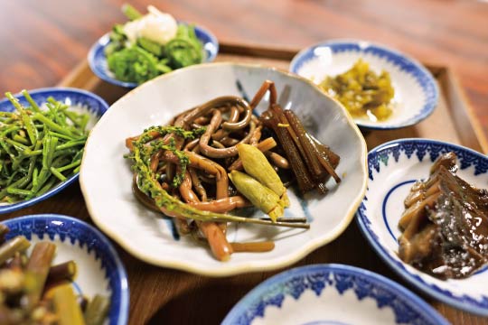 Sansai (mountain vegetable) dishes