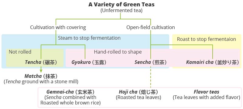Overview of a variety of green teas
