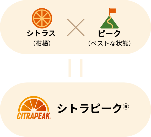 シトラス(柑橘) x ピーク(ベストな状態) = シトラピーク®